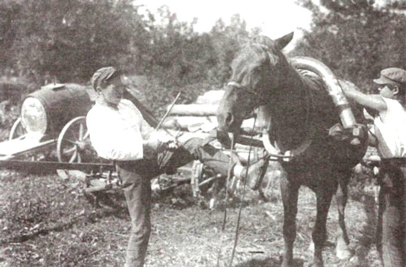 бухарцы ембаево. сельскохозяйственные коммуны. заготовка льда на руси. сельскохозяйственная коммуна. артели и коммуны.