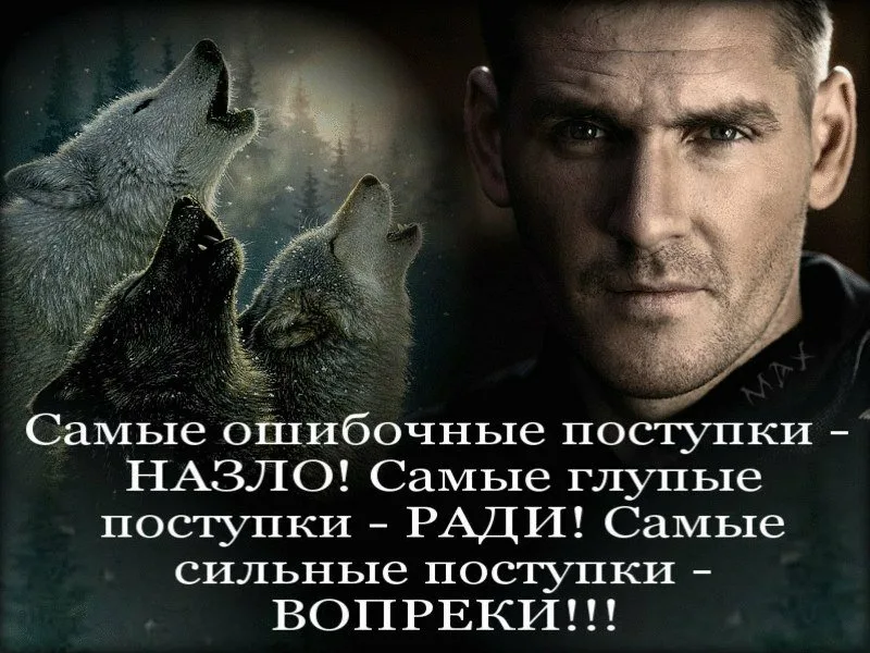 Вопреки смыслу. Самые ошибочные поступки назло. Самые глупые поступки назло. Самые ошибочные поступки назло самые глупые поступки