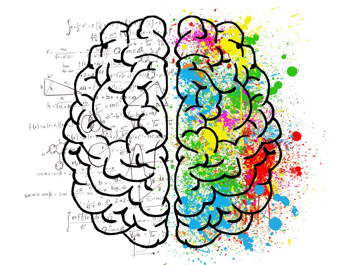"Полушарие мозга" на английском величается вычурным словом "brain hemisphere"