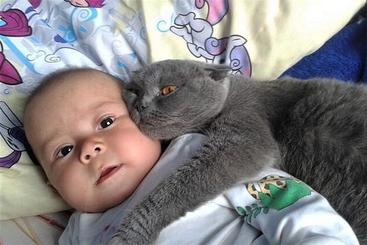 «Друзья навеки», - 15+ трогательных кадров любви между ребенком и ...