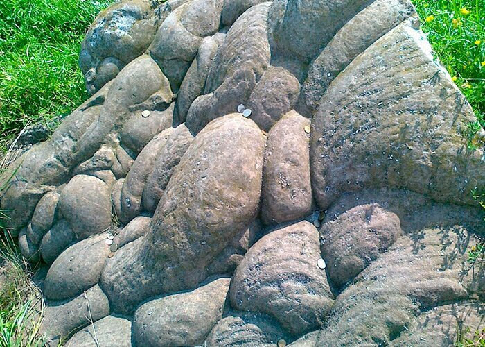  Мам, а правда, что мы появились раньше динозавров? Правда, солнышко, правда.