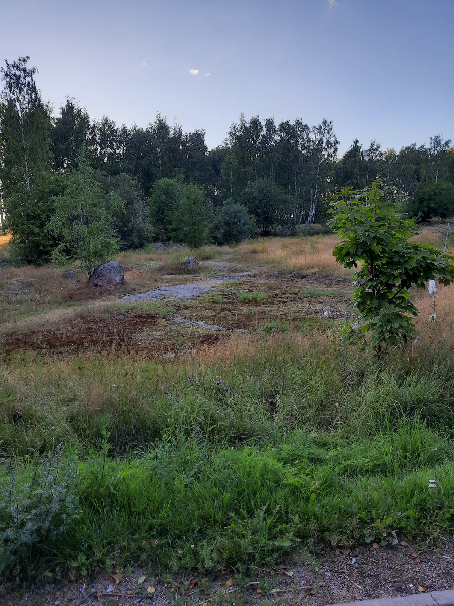 Сразу за нашим домом