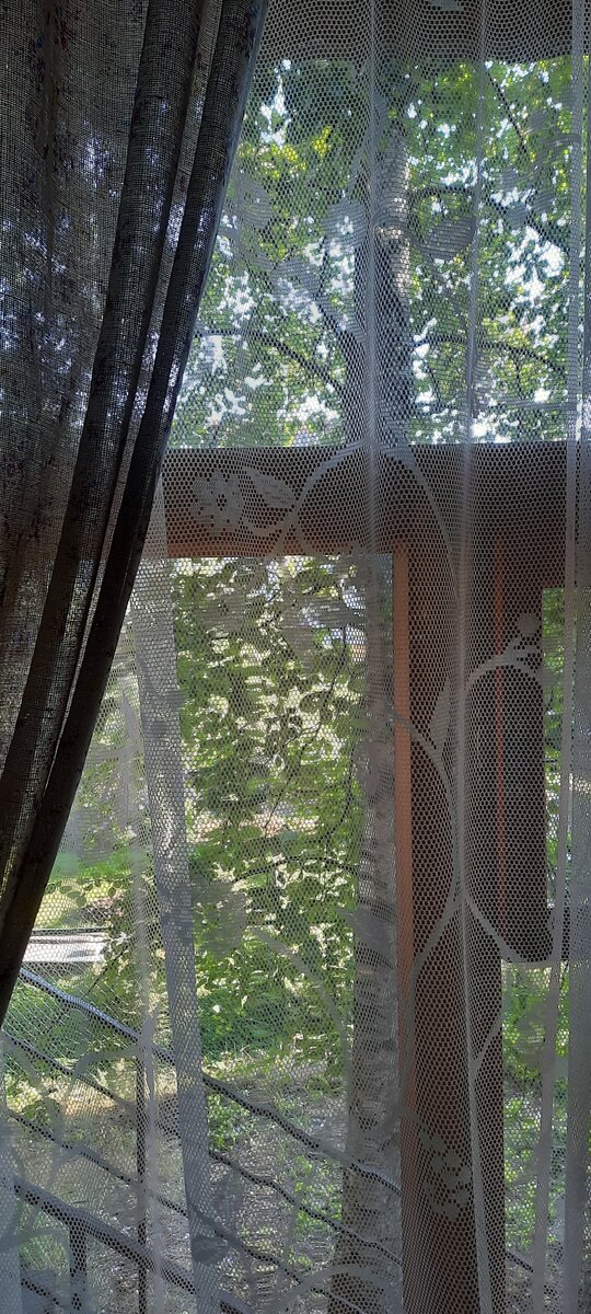 Так это выглядит из окна кухни. Если убрать дерево, то буду смотреть прямо в соседские окна. Фото автора.