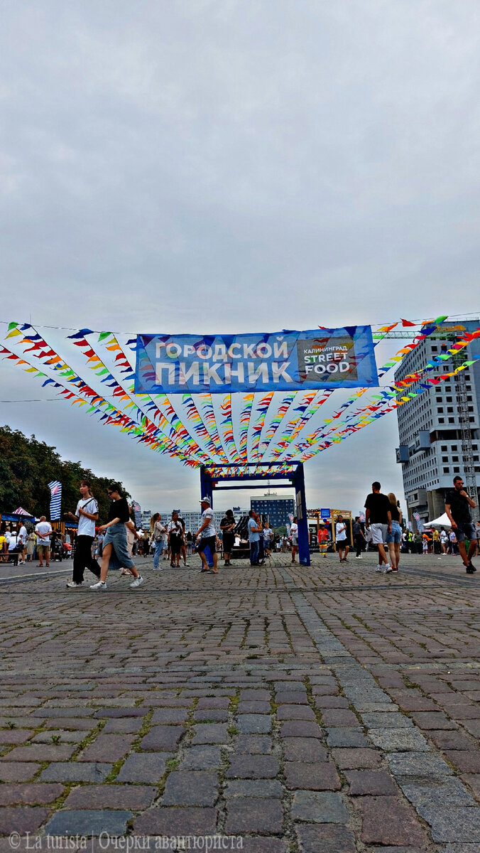 Street Food в Калининграде. Последний городской пикник у Дома Советов! | La  turista | Очерки авантюриста | Дзен