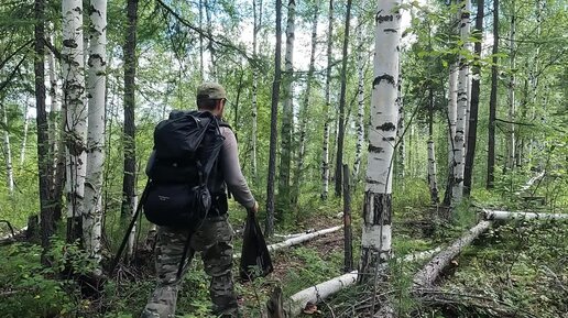 Очередная вылазка в тайгу. Грибы, ягоды, рыбалка. Таёжная кухня.