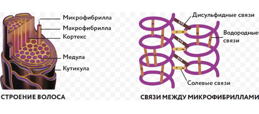 Кератиновое выпрямление и ботокс для волос, уход или вред, что от вас  скрывают | Код молодости и красоты | Дзен