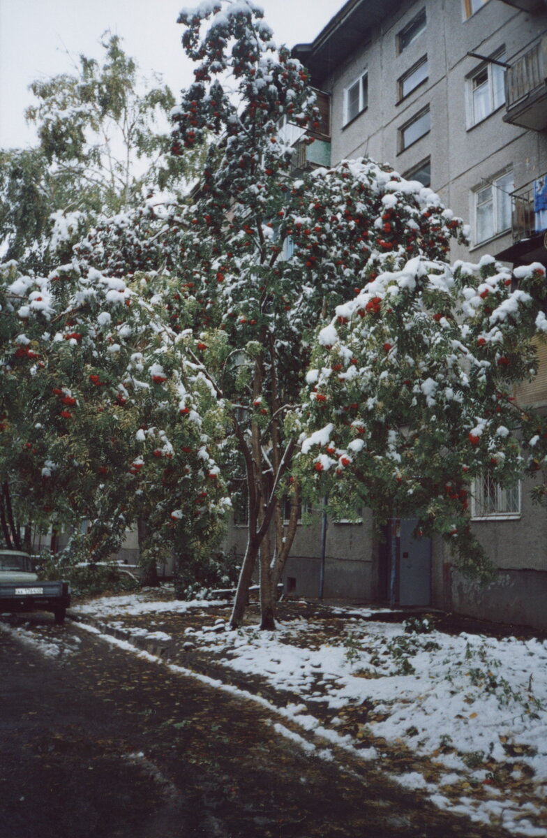 фото из личного архива