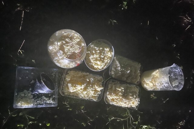    Фото: УМВД по Тульской области