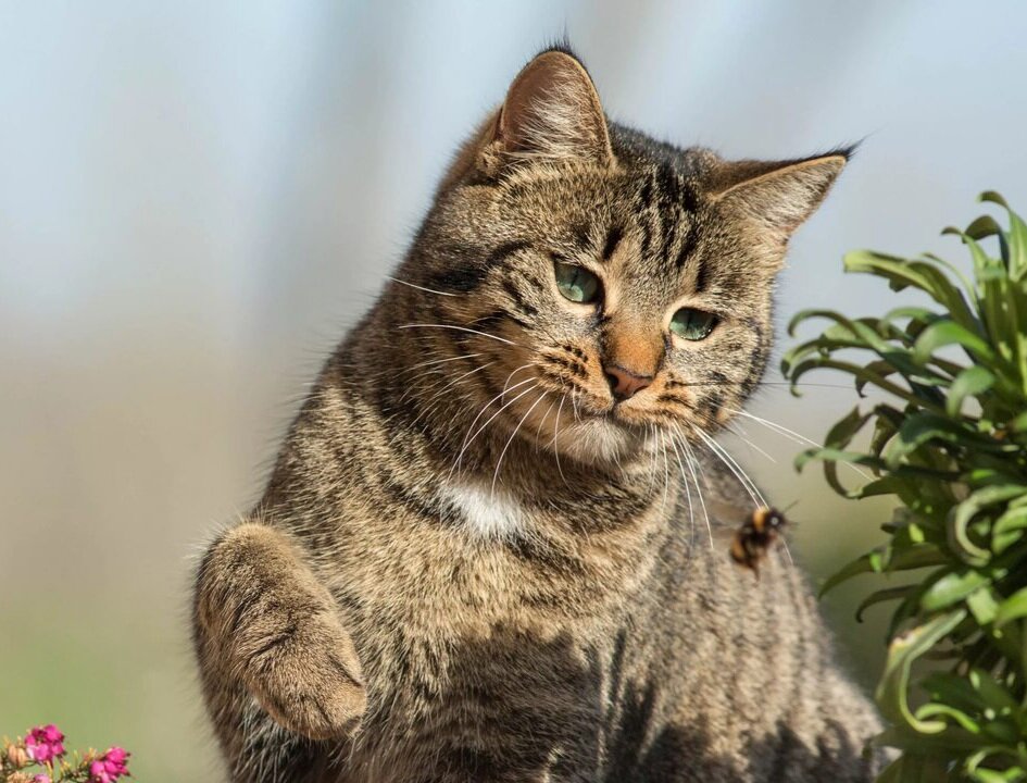 Источник: Яндекс картинки