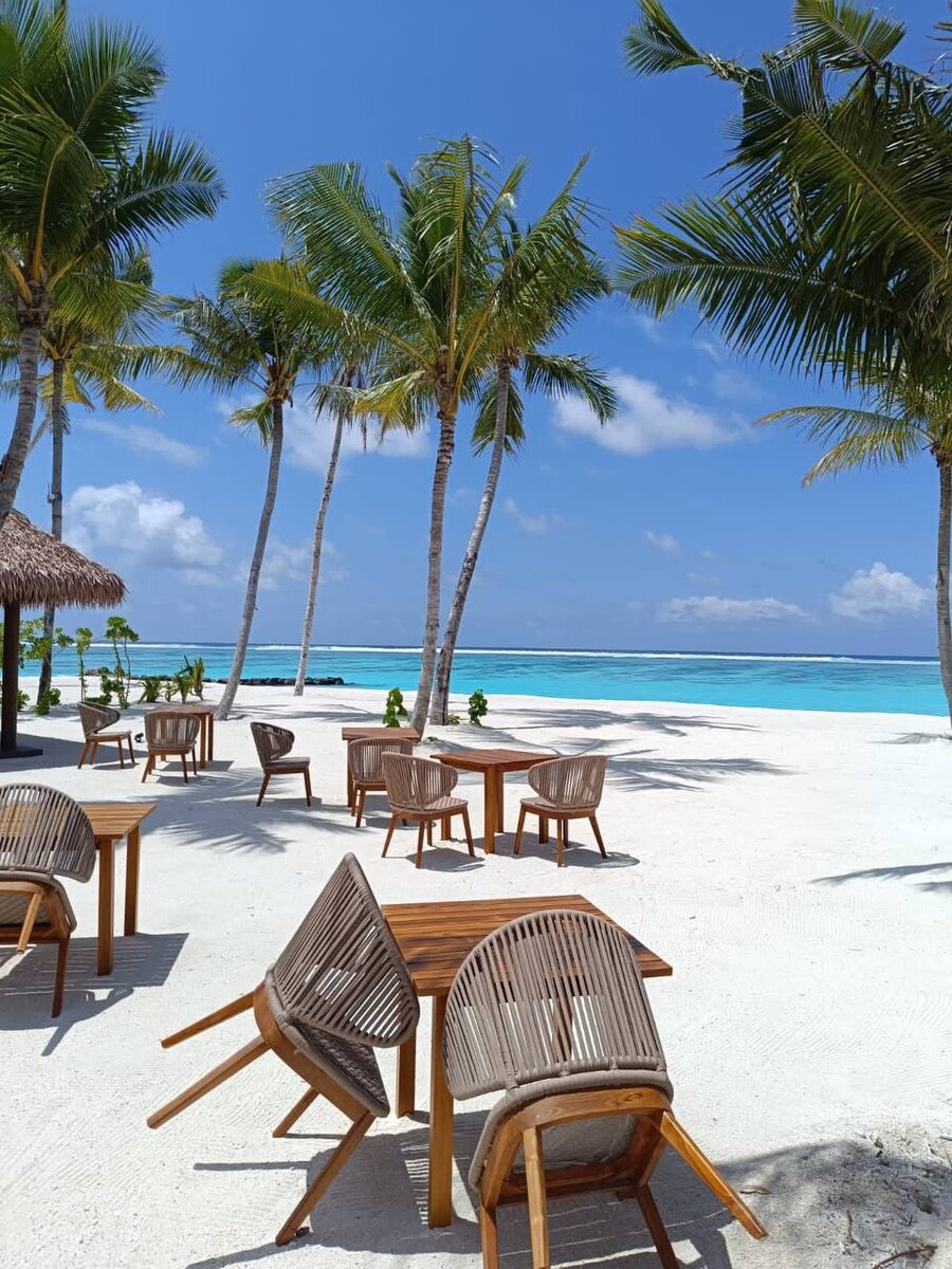 Barcelo maldives 5. Barcelo whale lagoon. barcelo whale lagoon maldives. barceló whale lagoon maldives. barcelo whale lagoon maldives 5*.