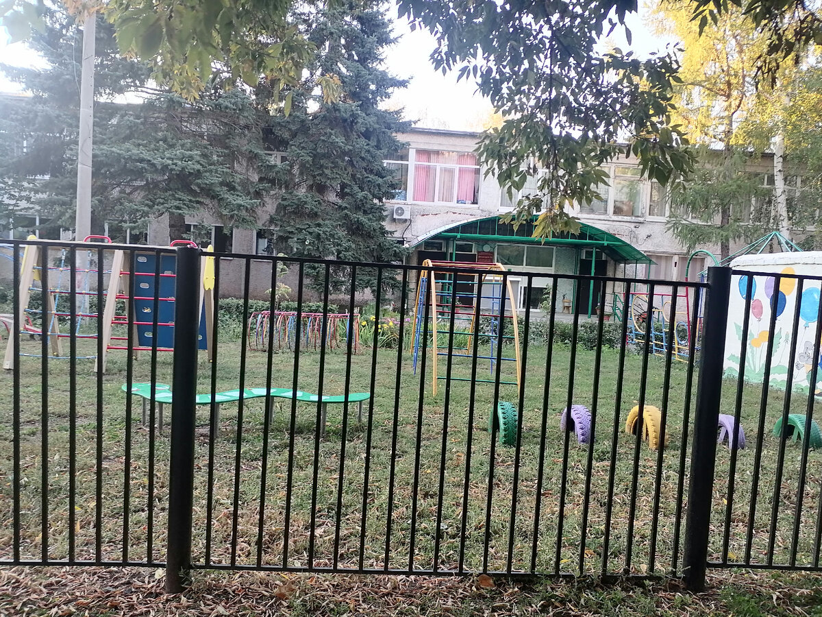 Фото автора. Наш новый сад. 