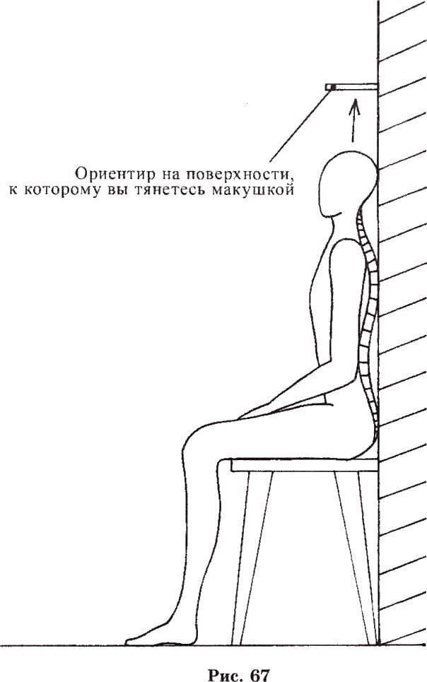 Позвоночник. Терминология в заболеваниях позвоночника. Медицинский центр Виддер Юг 2