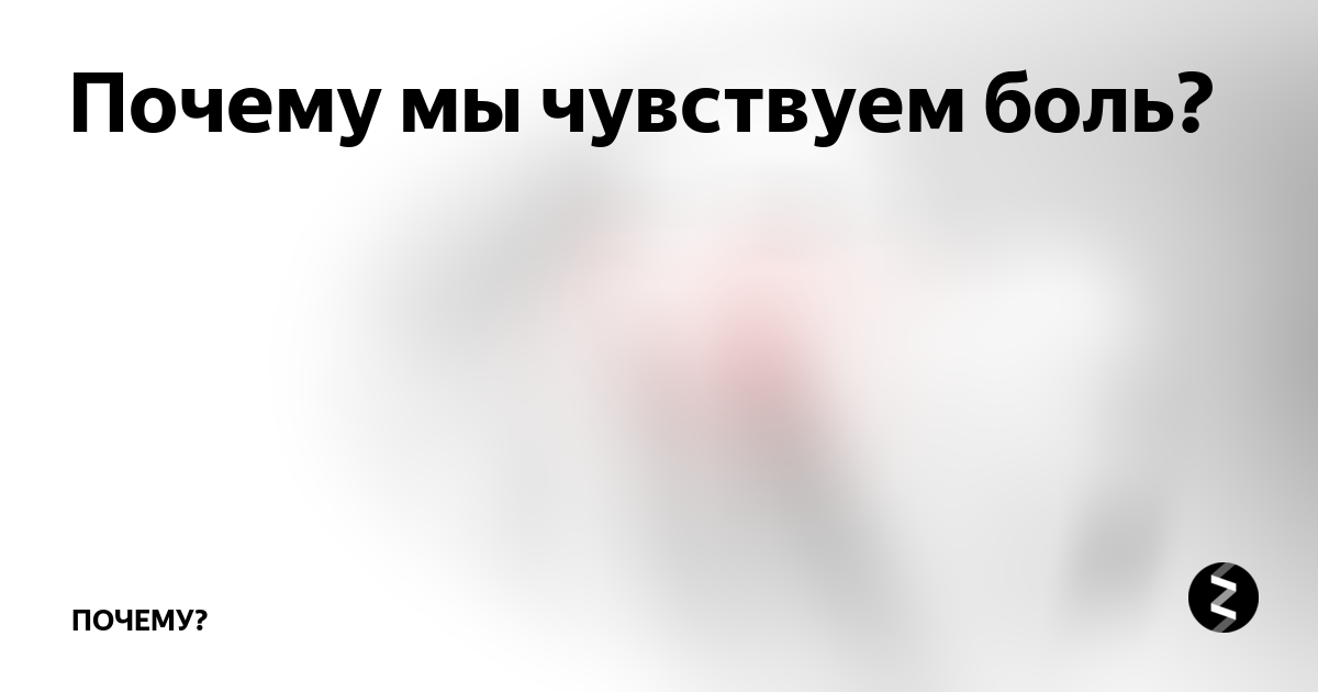 Почему мы испытываем боль. Почему мы чувствуем боль. Почему человек чувствует боль. Ощущение боли. Благодаря чему мы чувствуем боль.