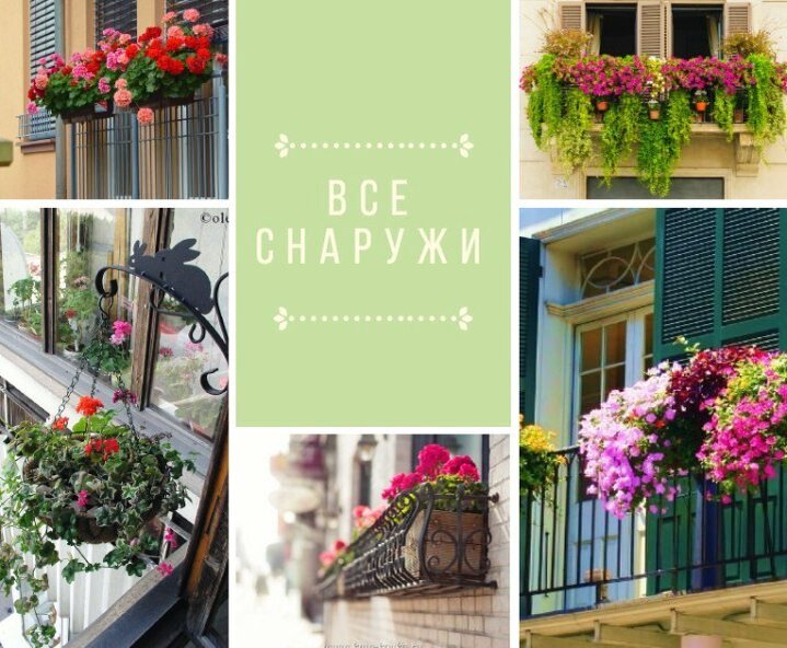 Цветы в подвесных кашпо и корзинах с наружной части балкона