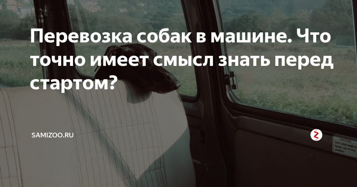 Перевозка собак в машине. Что точно имеет смысл знать перед стартом ...
