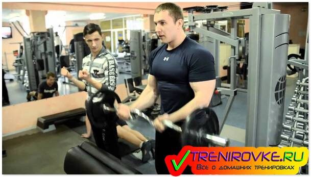 Самостоятельные уроки фитнеса в зале