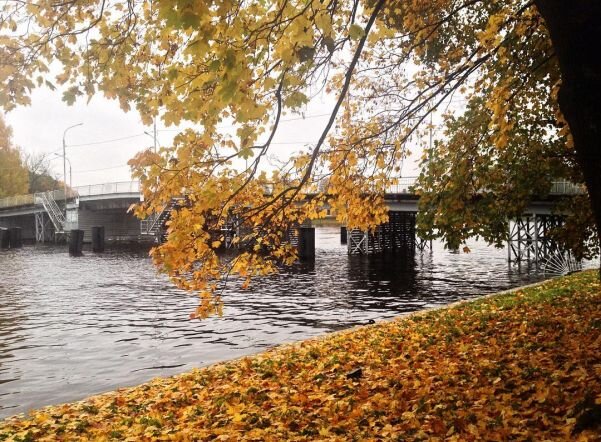 Елагин мост в санкт петербурге