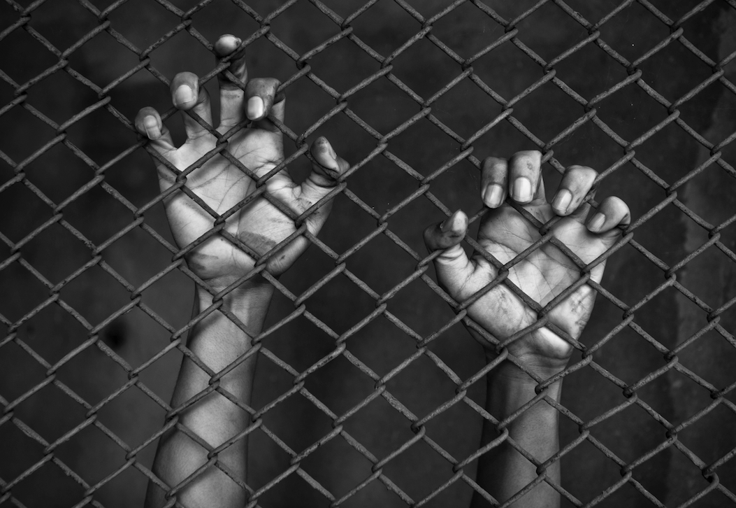 Источник фото: alternet.org