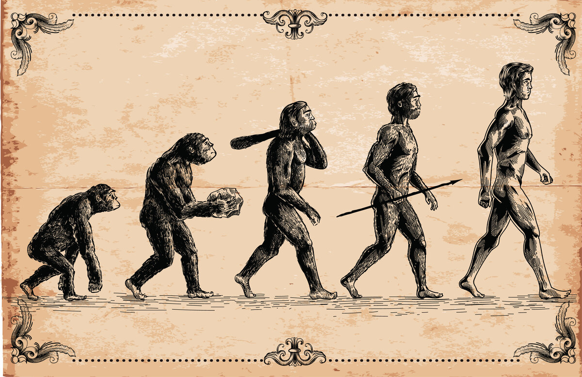 Чарльз Дарвин Эволюция человека