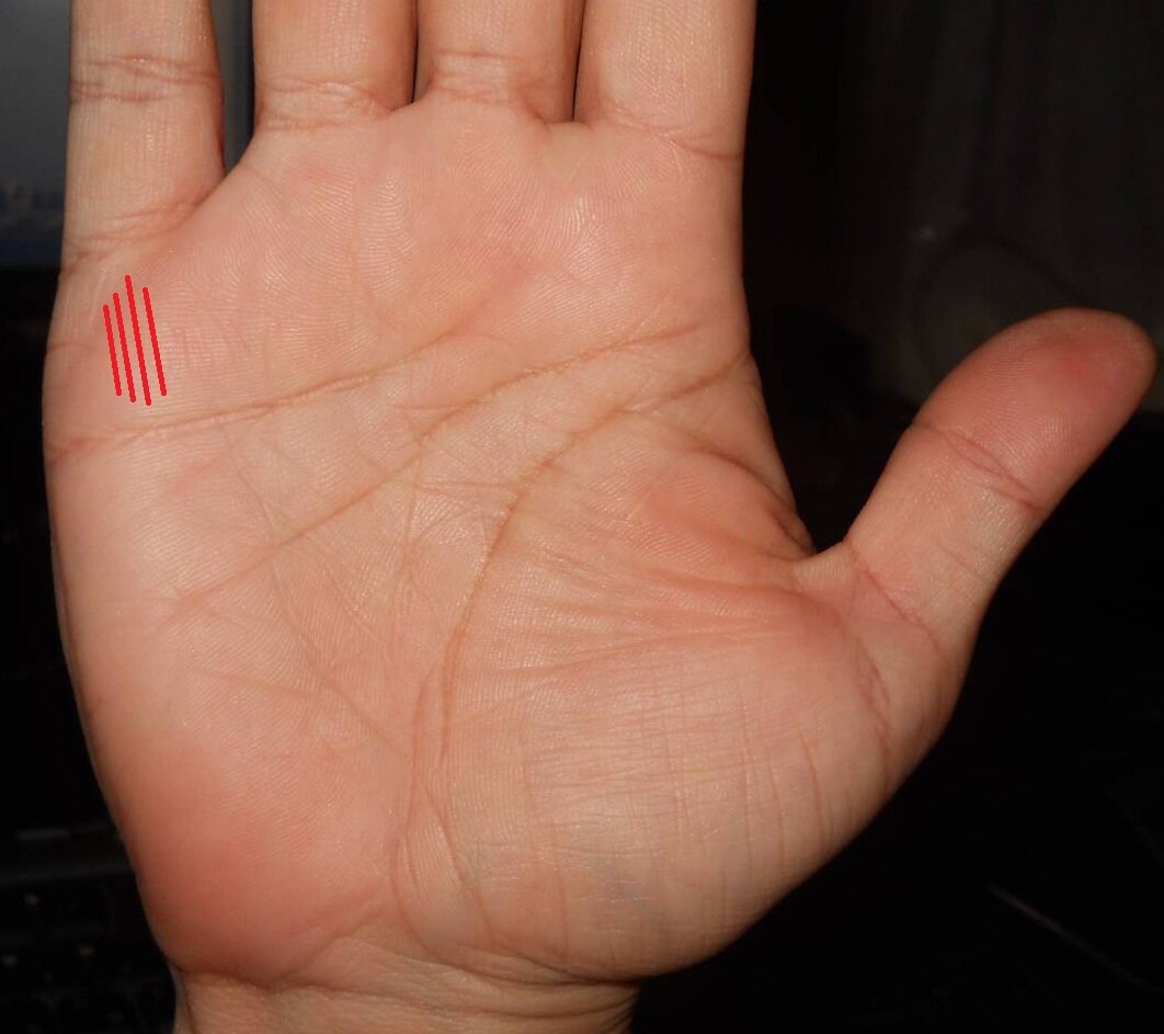 Линии руки расшифровка по фото онлайн