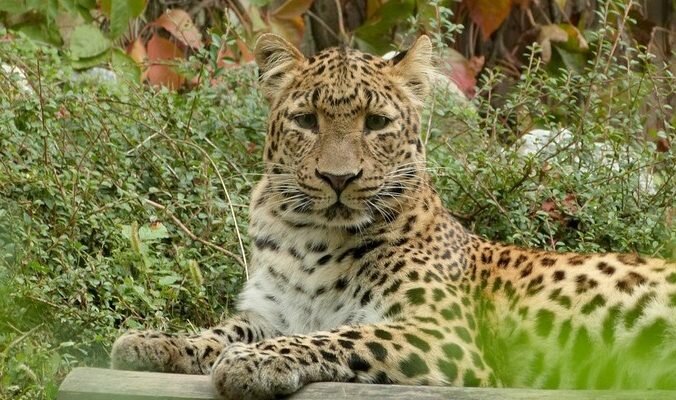 Фото: designerpoint/pixabay.com