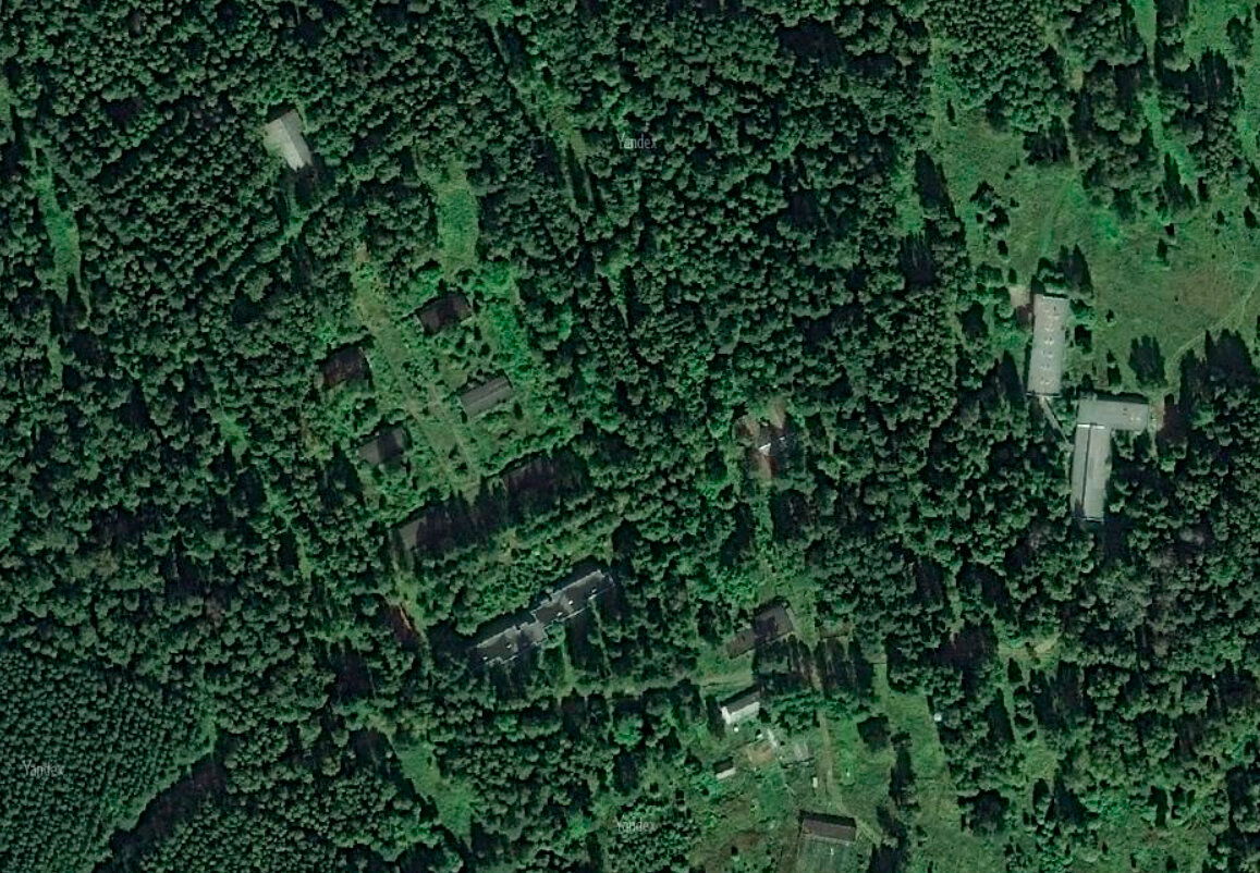 Лес спутник. Спутниковый снимок местности. Снимки со спутника. Снимок местности со спутника. Спутниковые снимки леса.