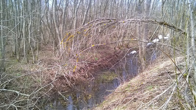 Село бурашево тверская область. Тверь центр города. Тверь город тверь. 256 квартал ангарск участки многодетным болото свалка. Тверской области село бурашево.