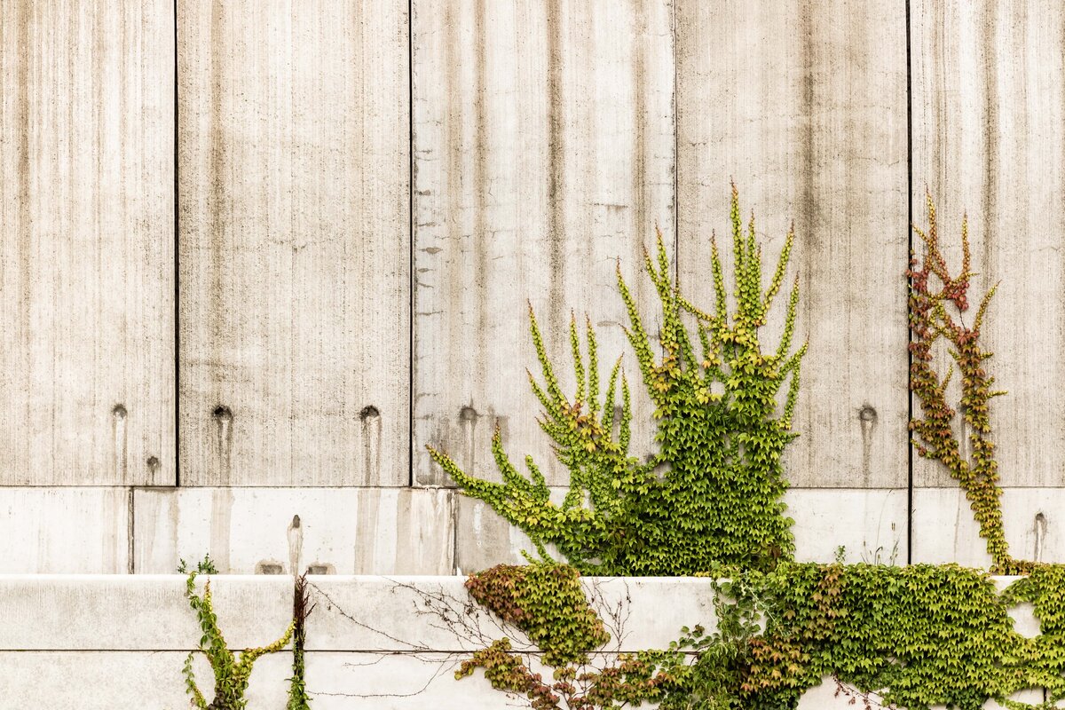 Pawel Czerwinski / Unsplash