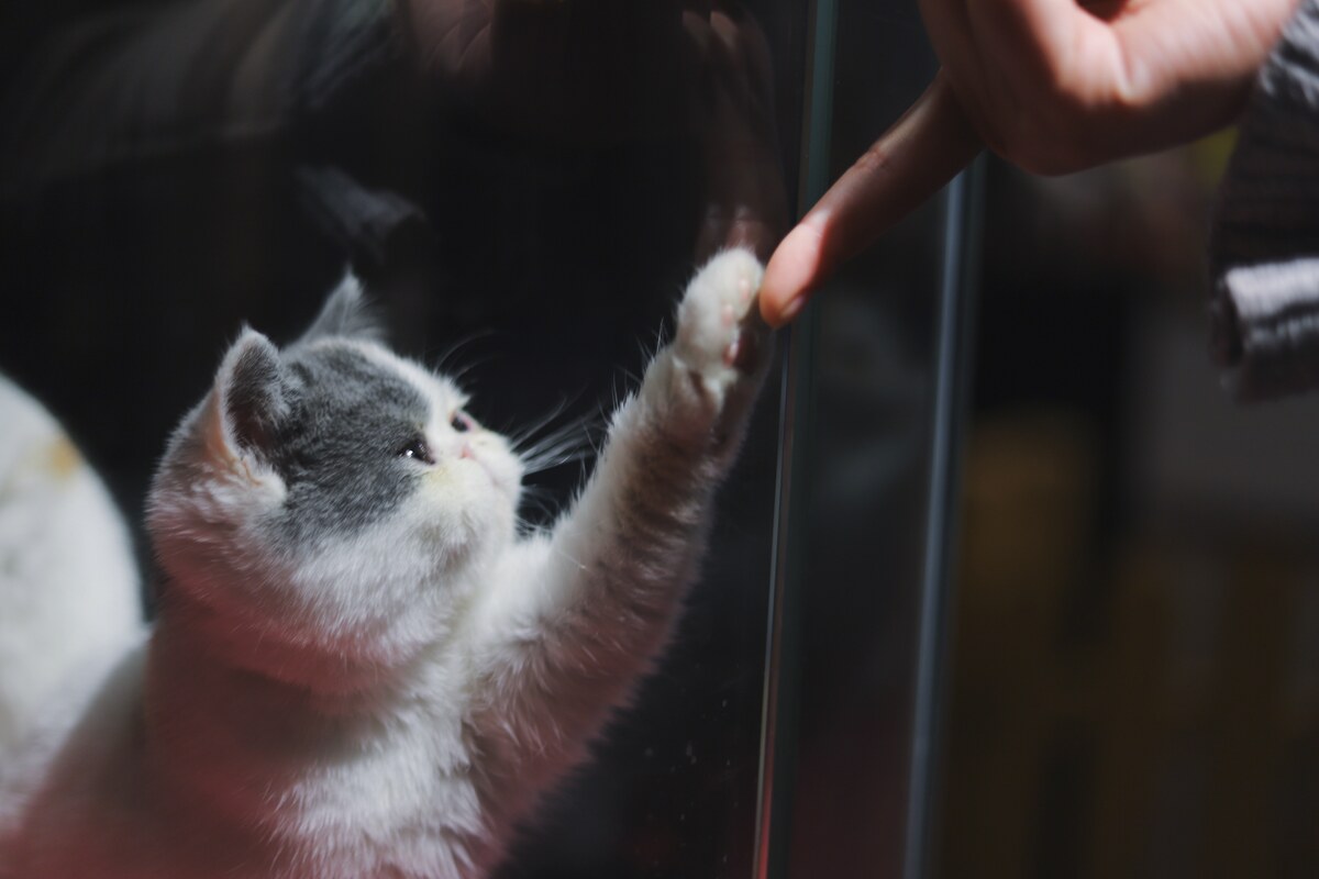 Photo by Wang Xi on Unsplash