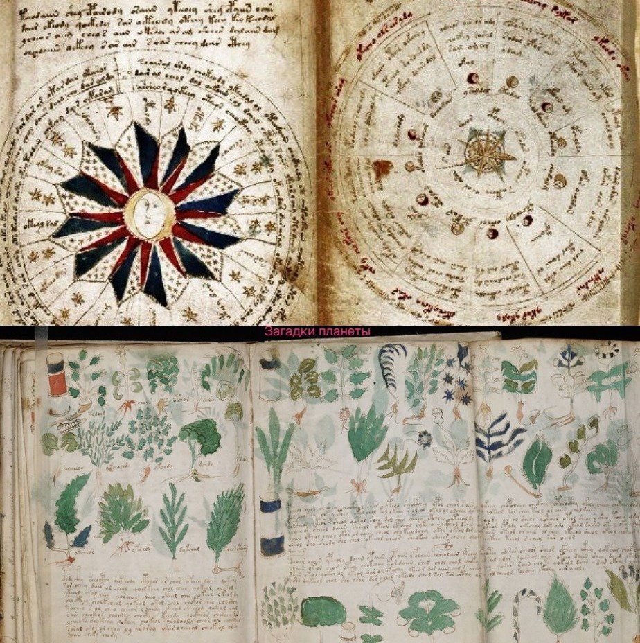 Фотография с сайта: https://mylifenews.ru/fakty/1025-15-arheologicheskih-nahodok-kotorym-uchjonye-poka-ne-mogut-najti-objasnenie/