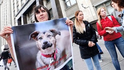 Изображение взято с: http://duma.gov.ru/news/29273/