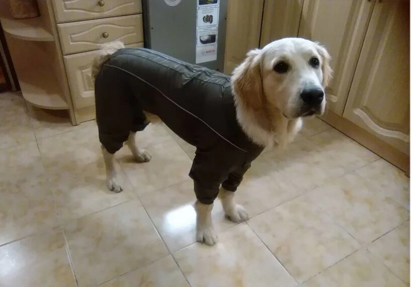 Куба-стриптизер