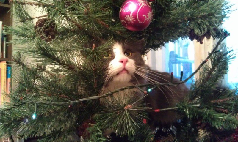 Фото из личного архива