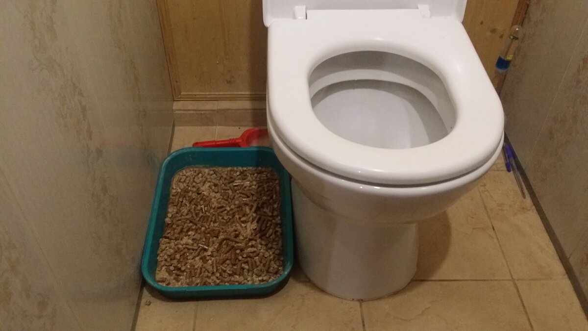 Лоток должен быть всегда убранным