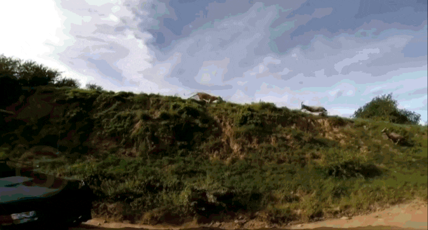 Без комментариев..........