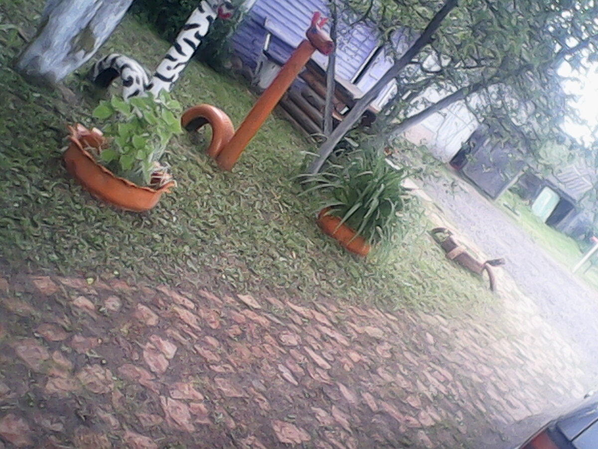 Автор фото Галкин Александр