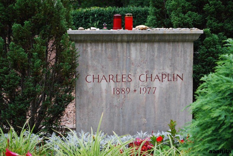 Источник Яндекс фото.