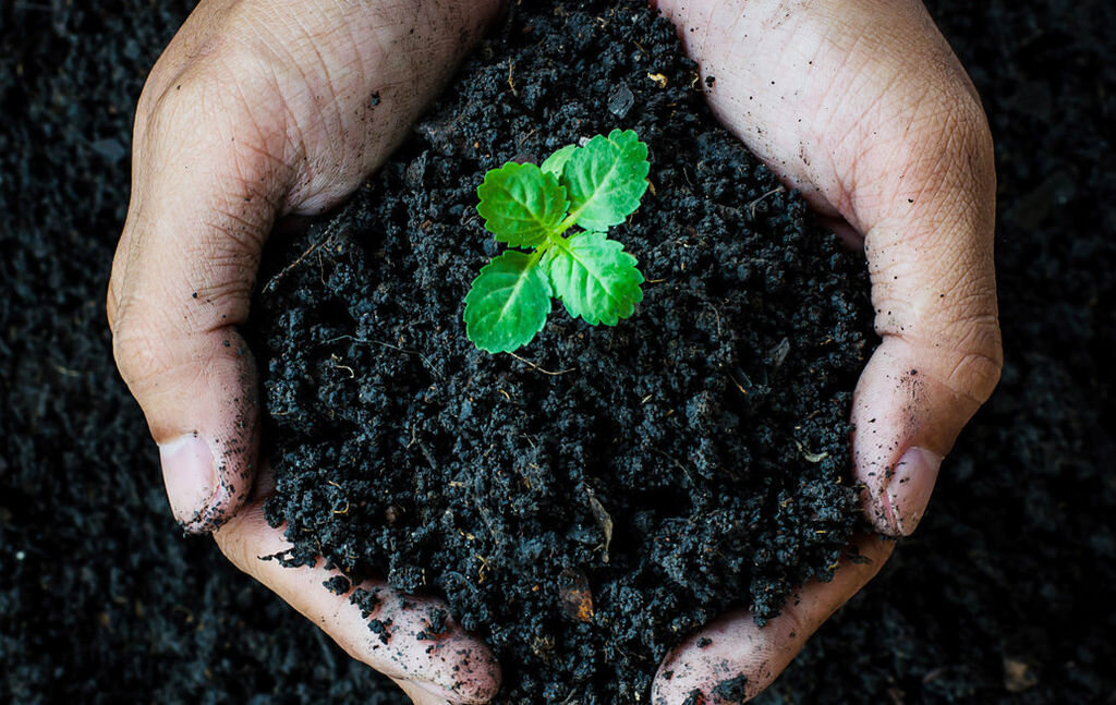 взято из свободного доступа