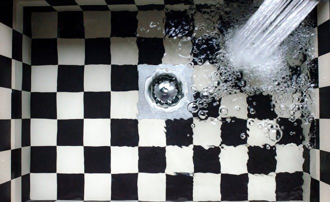  Фото: pixabay.com