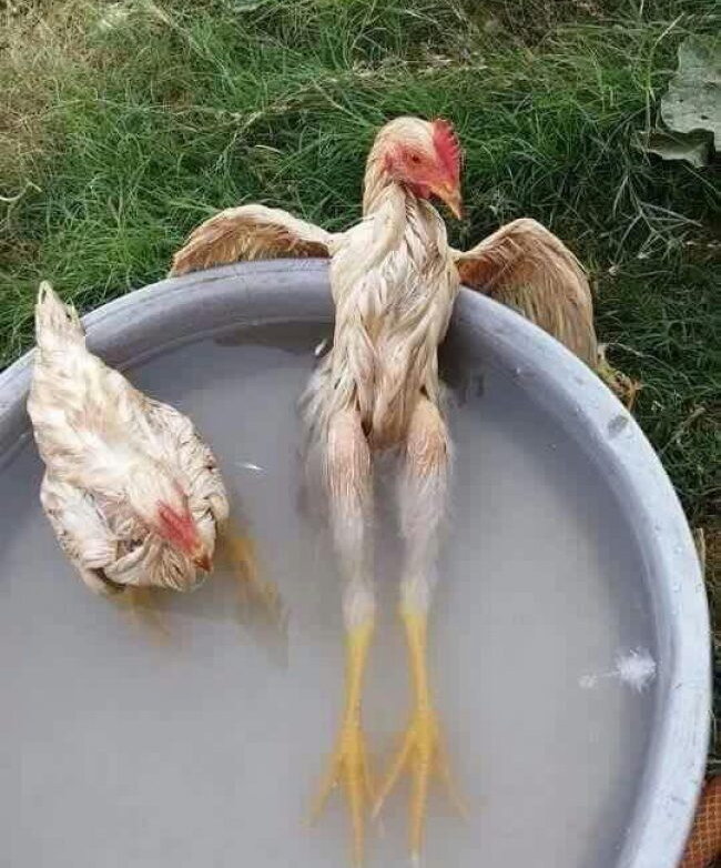 -2