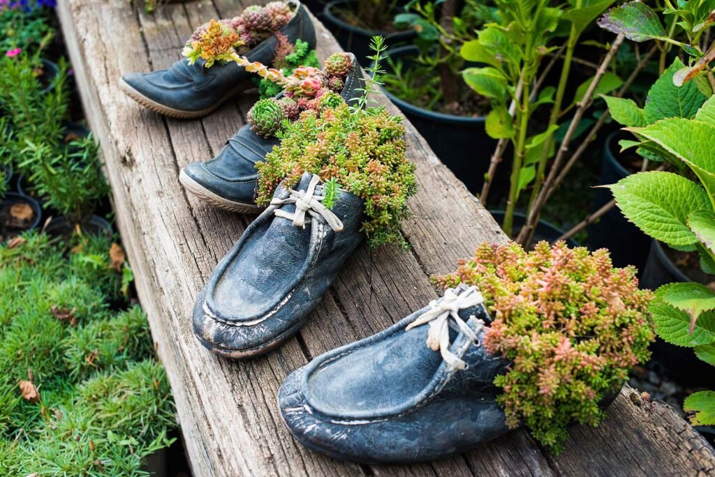 Обувь - Каталог | CrocShop. Изделия из натуральной экзотической кожи