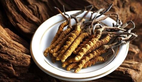 На грибы не похоже