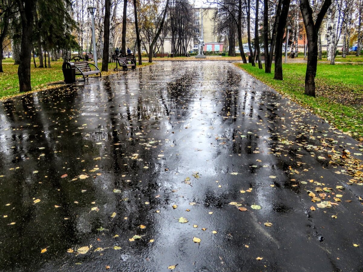 Дождливый Тамбов