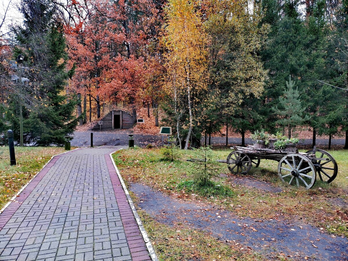 Мемориальный комплекс партизанская поляна брянск фото