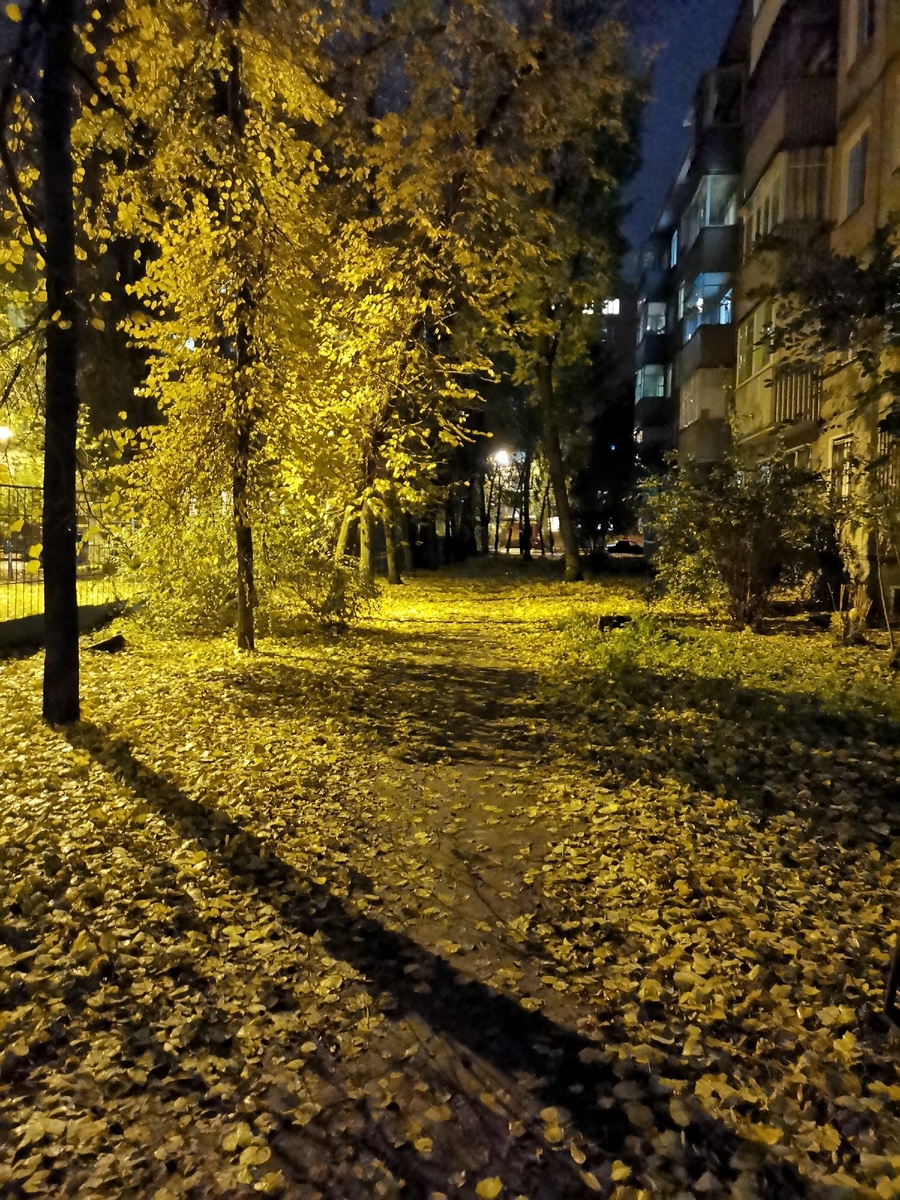 Красота у дома 