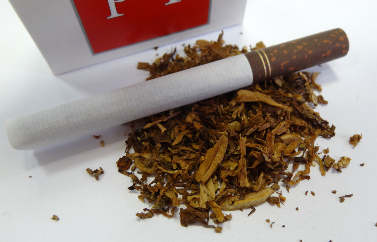 сигарета и дерево фото. казак курит. трубка тараса бульбы. трубочку курил с турецким табачком. старина виски и трубка дымит.