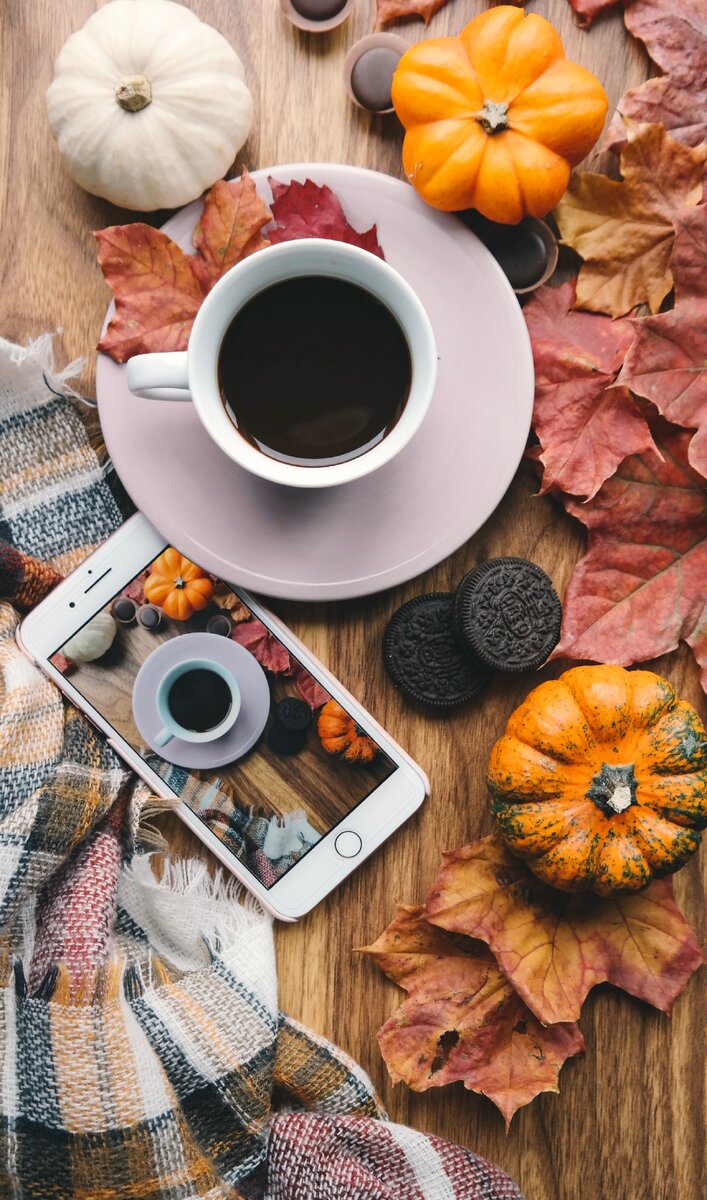 https://unsplash.com/photos/Ko-boPSpCe0