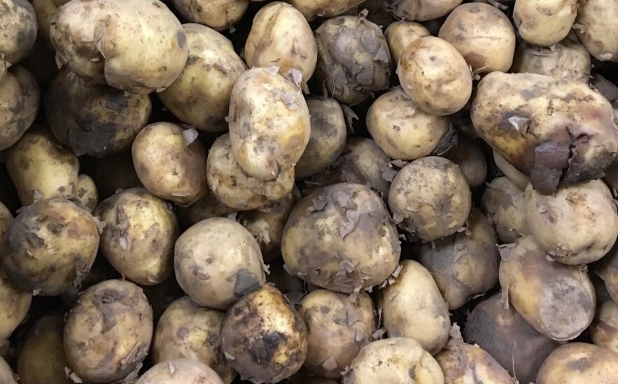 картофель из Ашана