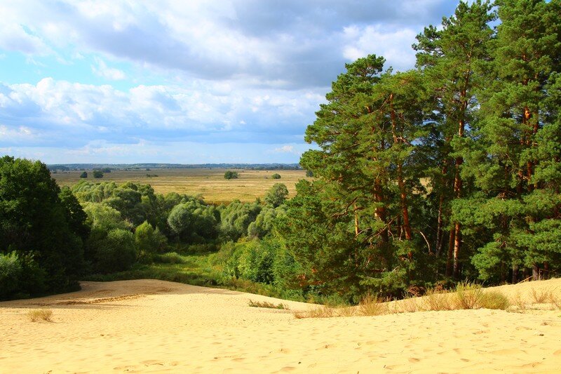 Фото рязань солотча рязань