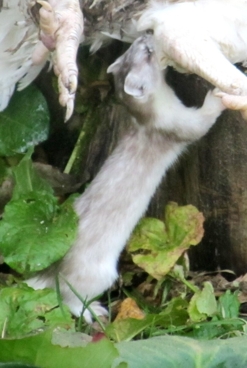 Фото М. Сахневич